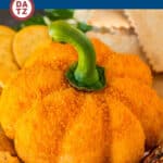 This pumpkin cheese ball is a blend of cheeses and seasonings that is shaped like a pumpkin and coated with crunchy cheese cracker crumbs.